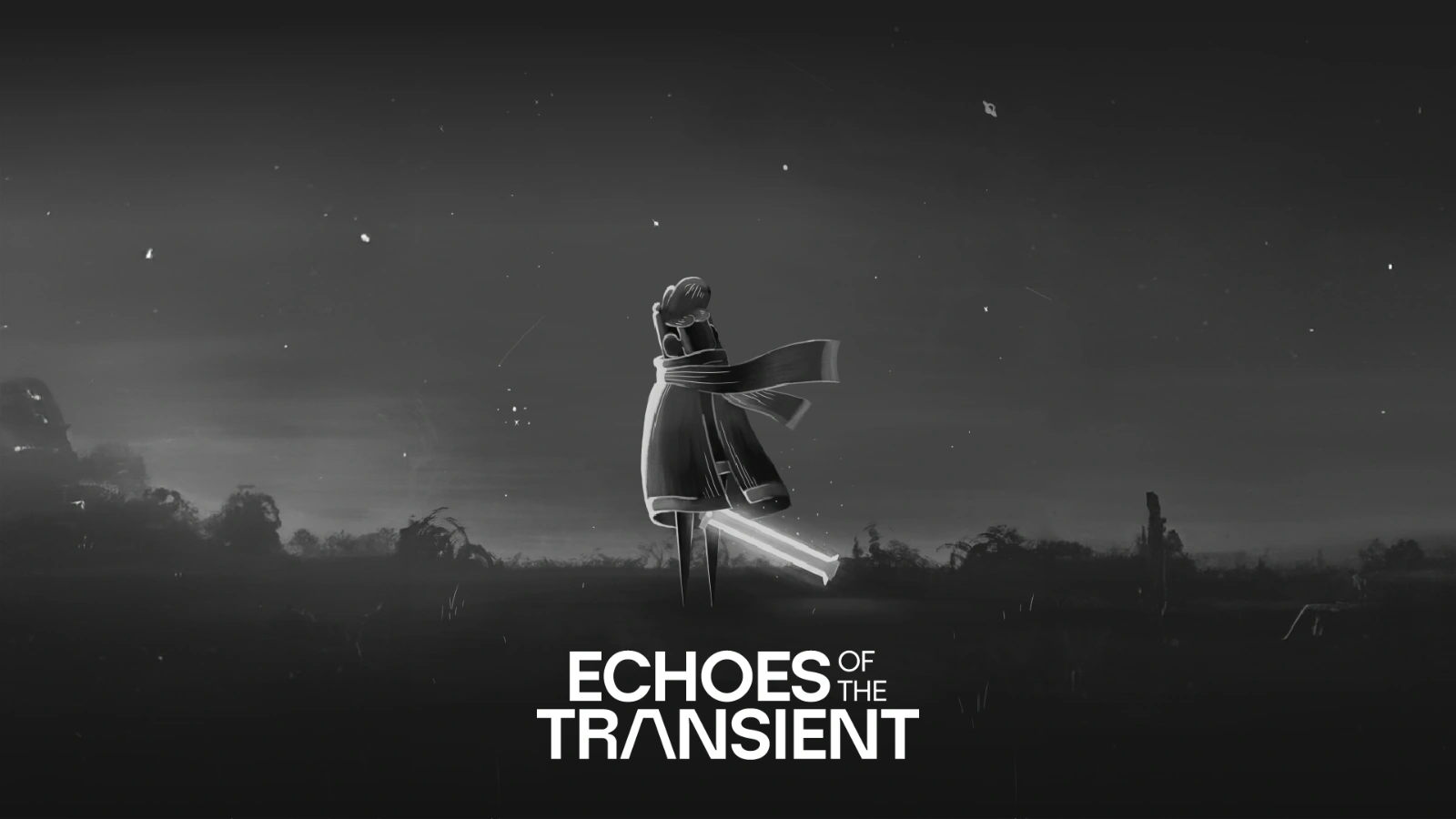 Echoes of the Transient project image