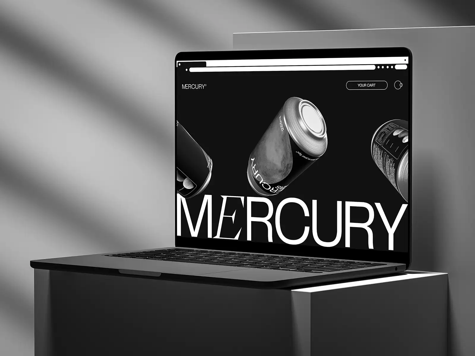 Mercury Website project